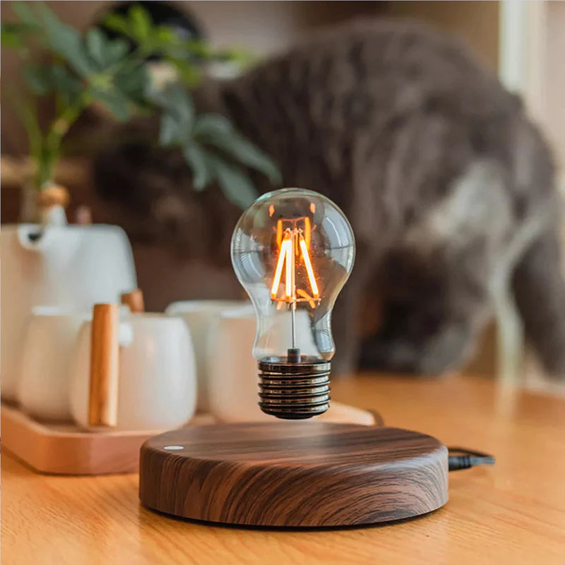 LeviBulb