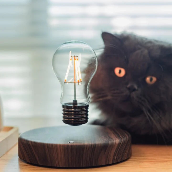 LeviBulb