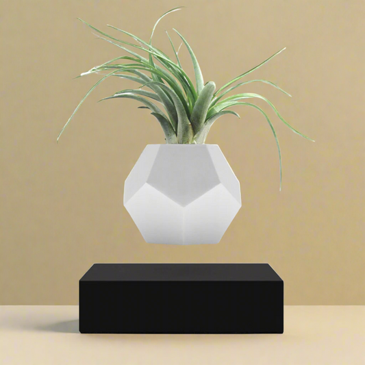 LeviPlanter